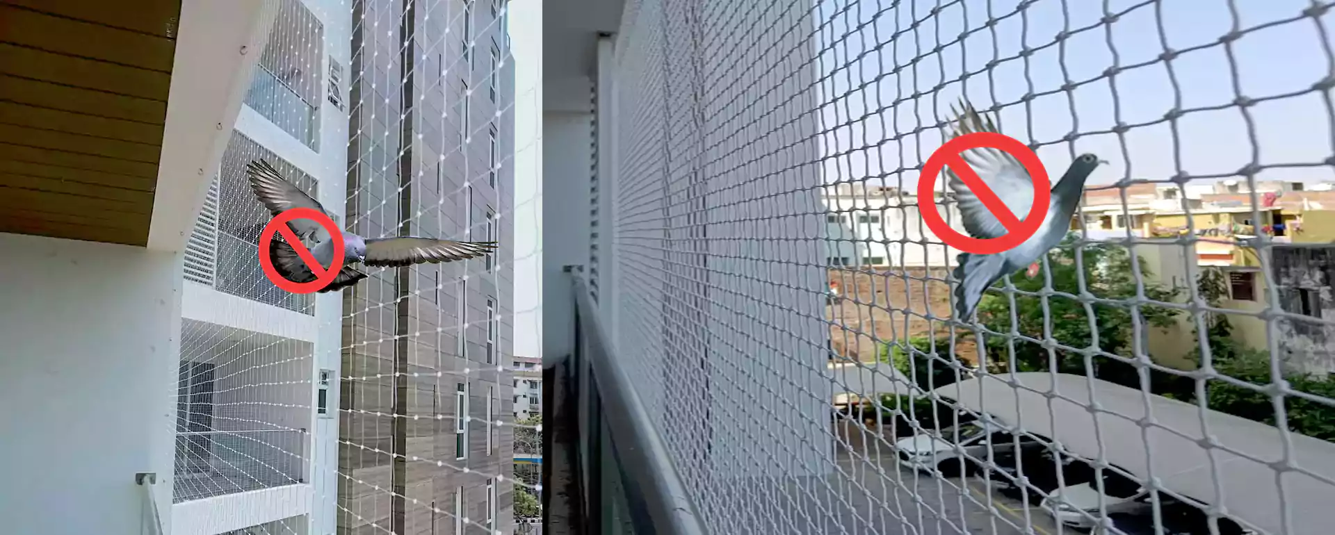 Pigeon and Bird Safety Nets for Pune - Call Us +91 8688834411
